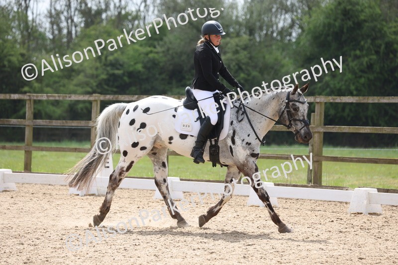 20250424-0749 - Class 5 - Novice 3