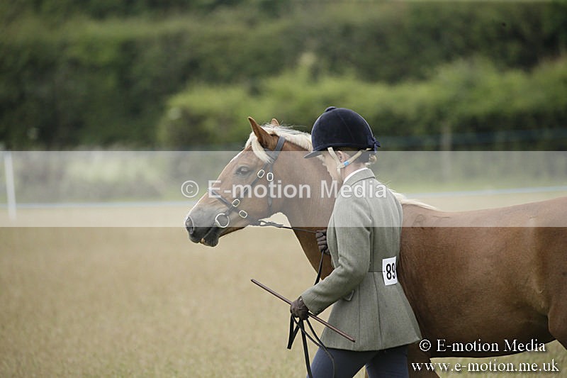 B230619-0003 - Bourne Valley Riding Club Summer Show 23/06/19