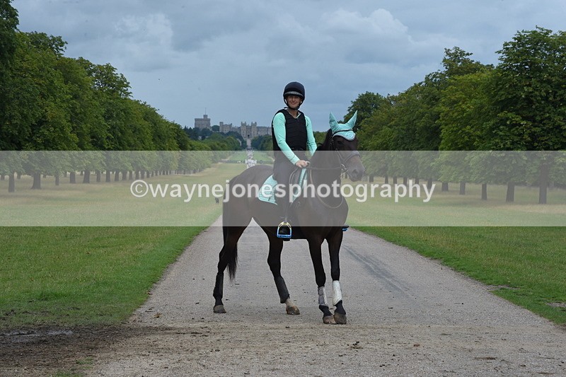 TT3_9848 - Time at Crossing 11:28 to 13:16