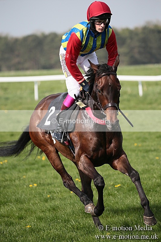 PtP 210418 435 - South & West Wilts Point-to-Point Larkhill 21/04/18