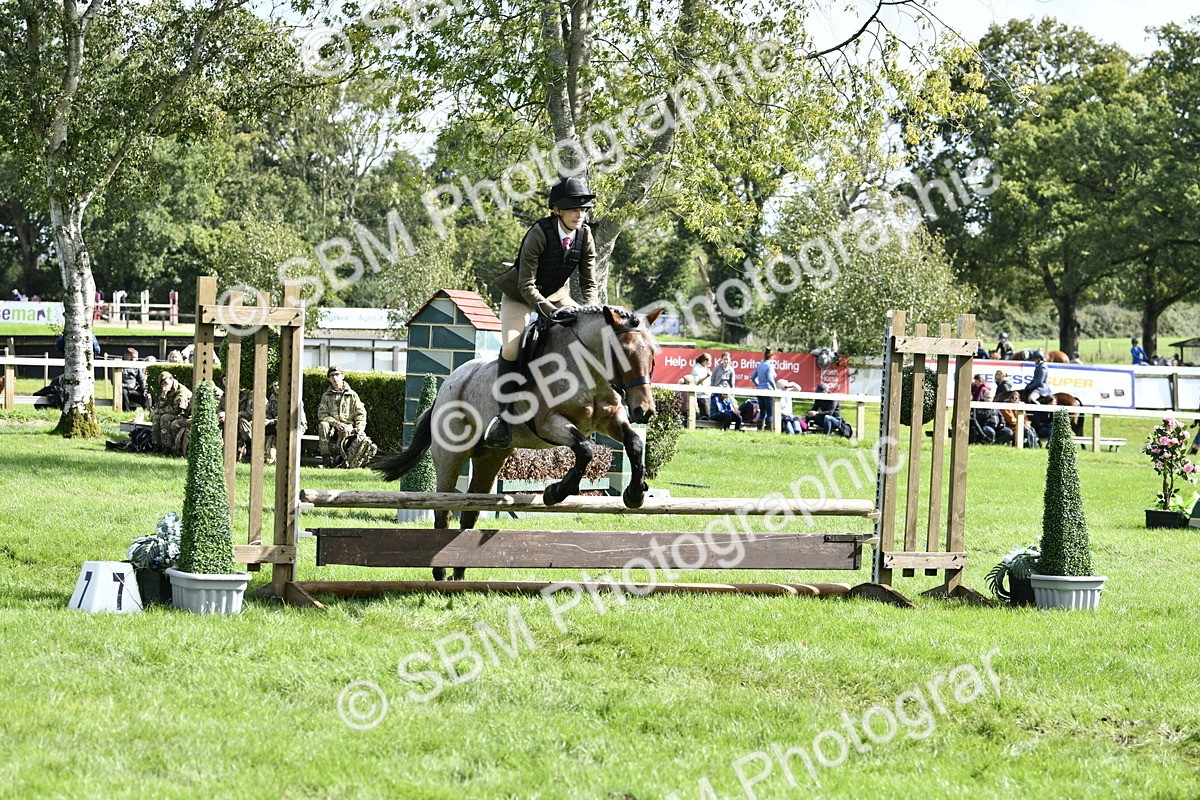 SBM_45666 - S33 - Working Hunter Pony