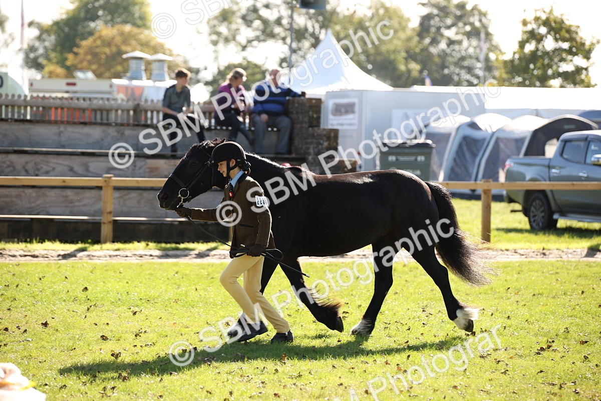 SBM_36624 - S10 - Best In Hand Horse & Pony