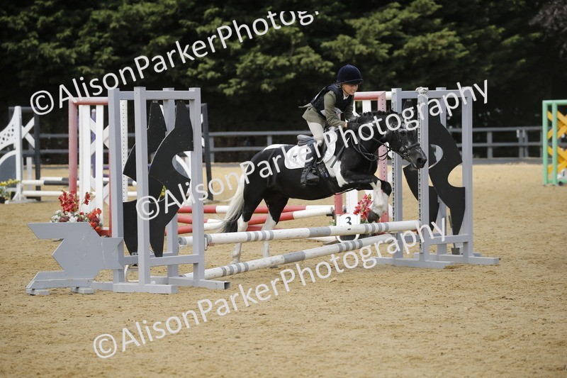 20250622-4059 - 50cm