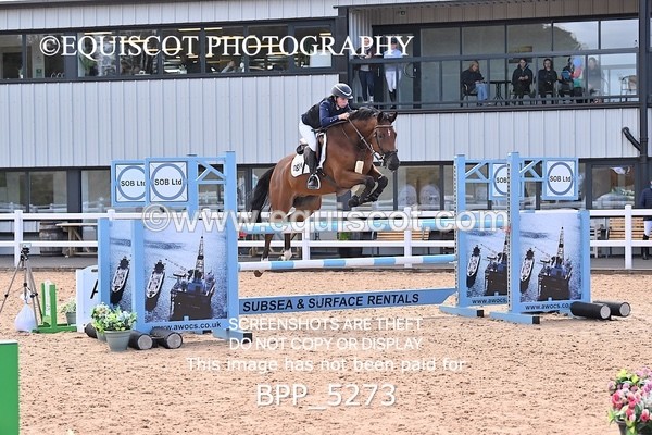 BPP_5273 - CLASS 8 THURS HOYS GFS Saddles Senior Newcomers Second Round