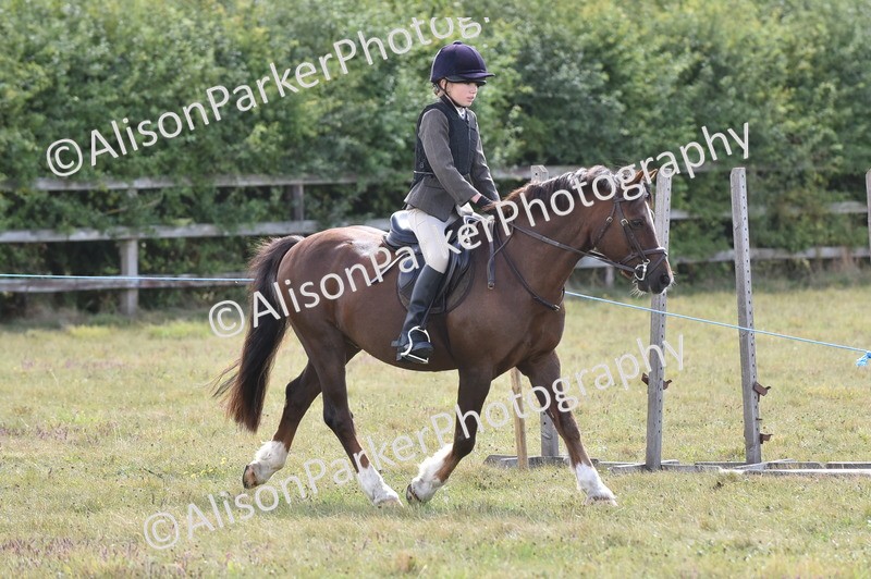 20250831-3936 - Class 11 - Working Hunter Pony 13hh and Under