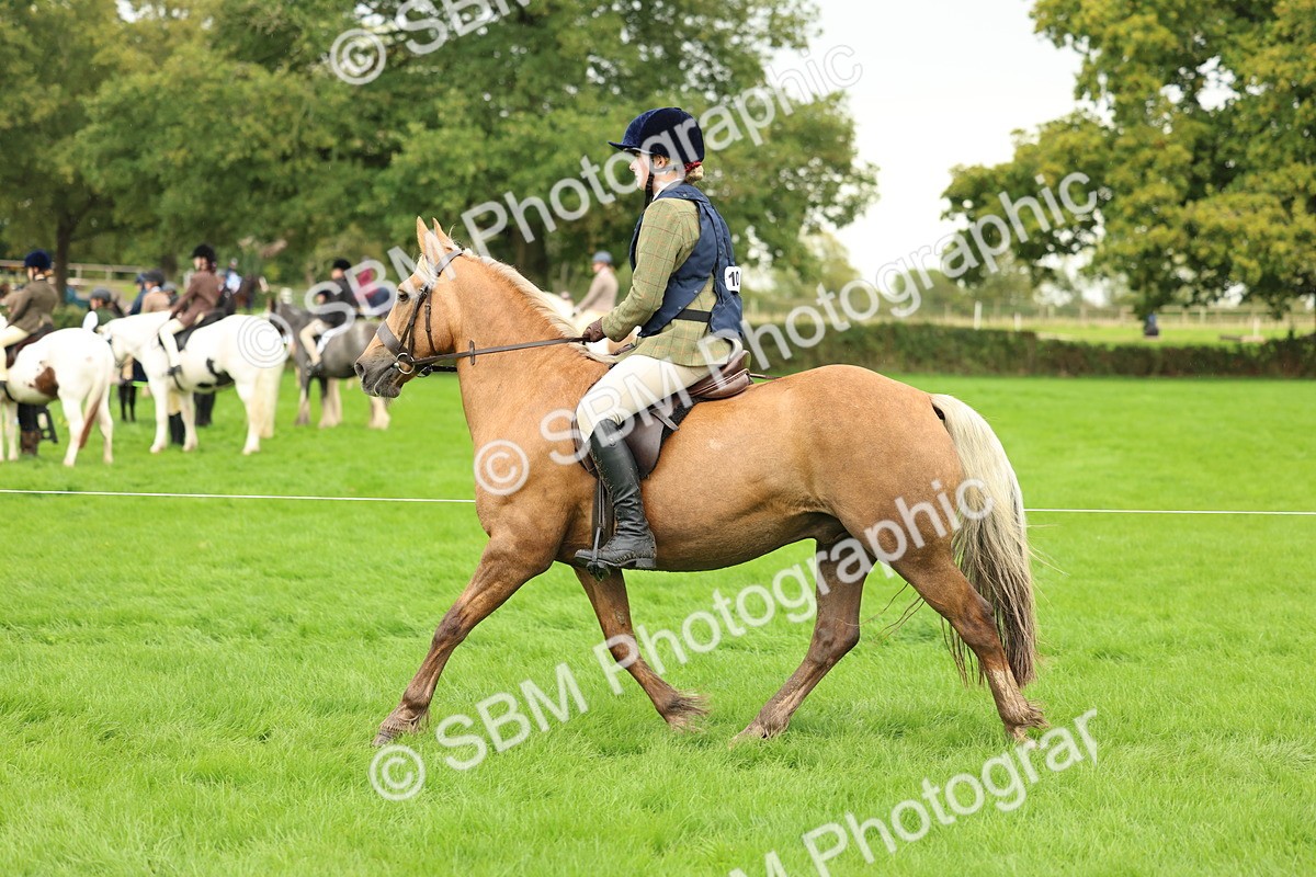 1I0A1438 - S32 - Mountain & Moorland Working Hunter Pony