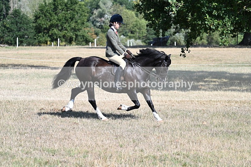 WJ7_3707 - Class 9 Mountain & Moorland Ridden