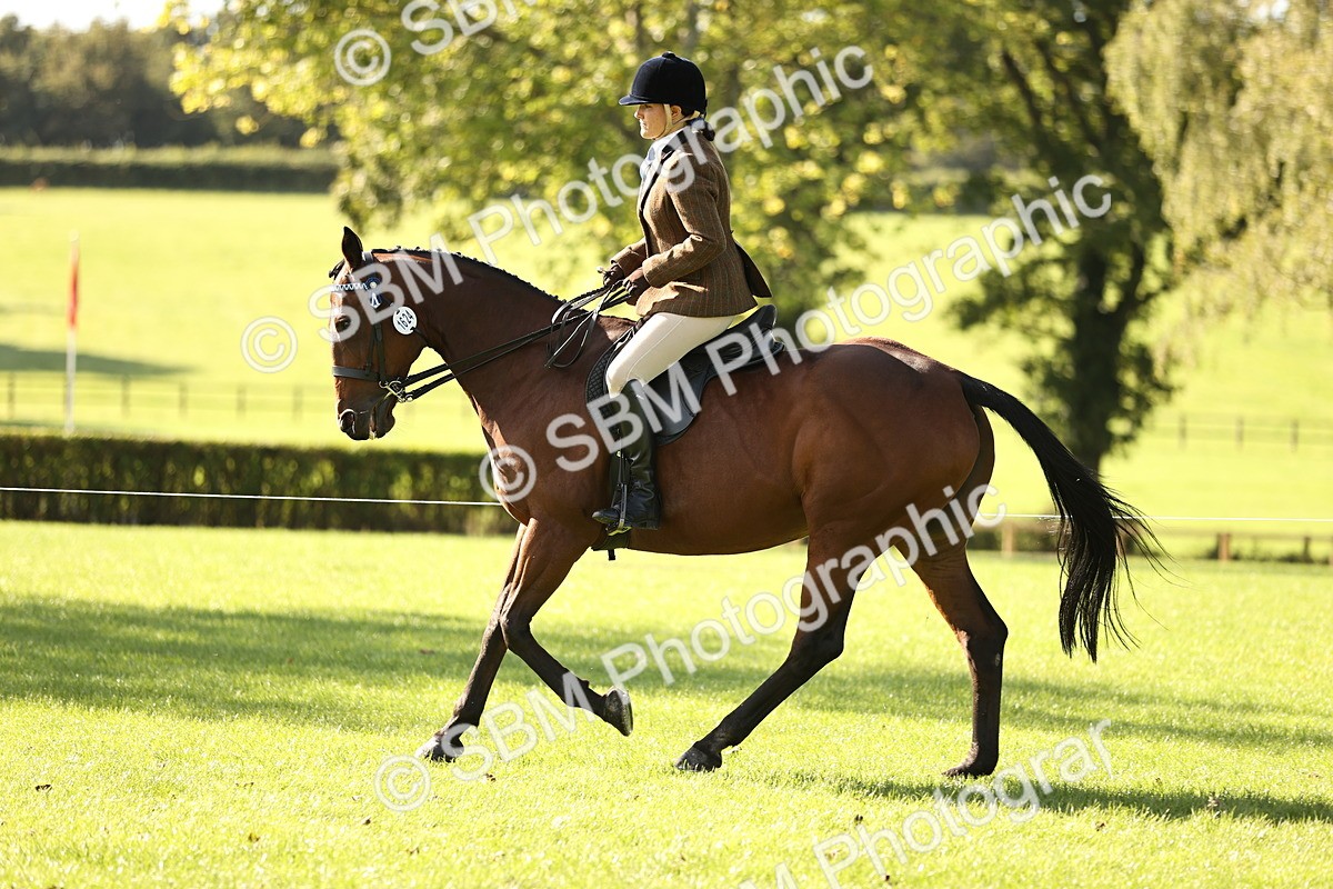 SBM_16940 - S2 - TSR Ridden Pony Showing