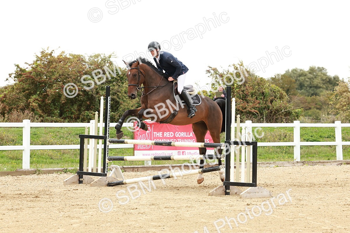 1I0A7028 - Class 2 - Senior British Novice