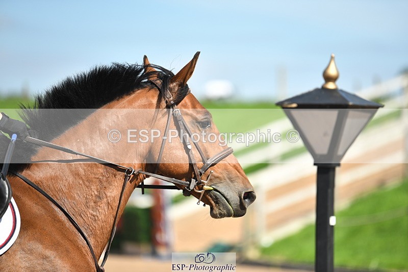 230903A-130943-04730 - Cls 15A U21 Intro 90cm