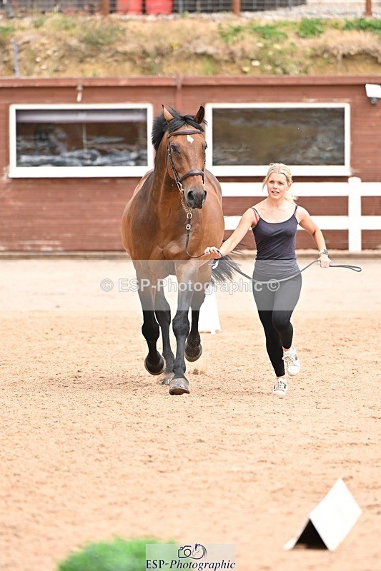 250716-144940-01435 - Trot Up 2.30 to 3.30