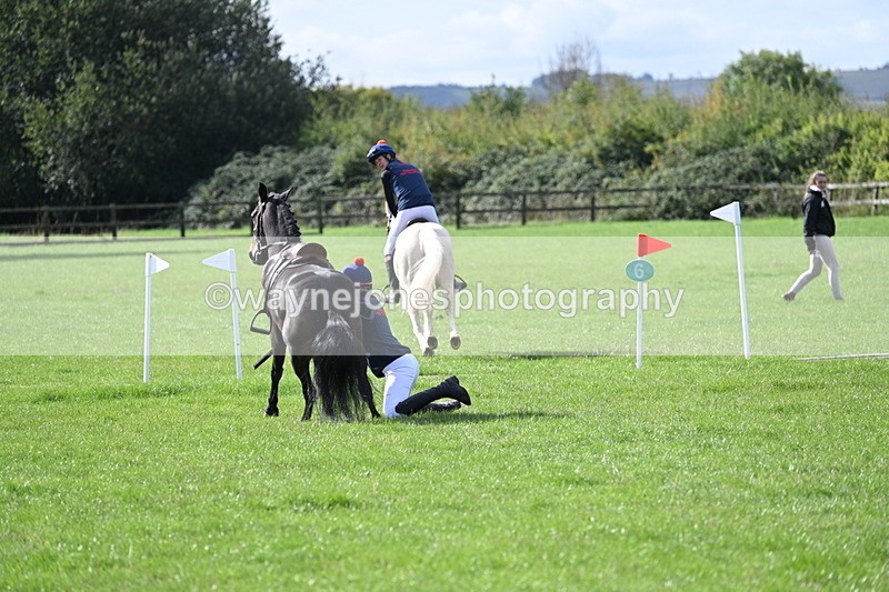 WJ7_8538 - 60cm Pairs