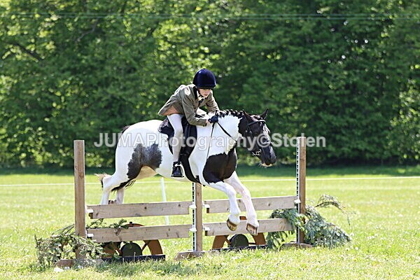 IMG_3828 - Working Hunter