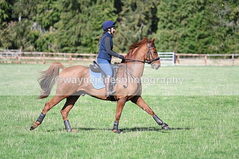 WJ7_8126 - Time 11:40 to 12:12