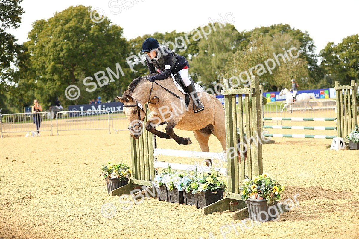 SBM_67256 - J17 - Junior Pony 80cm Championship