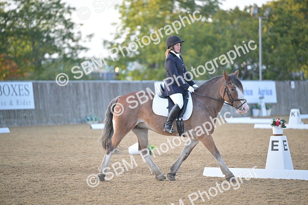 SBM_13533 - D3 - Small Tour Championship Intro 3