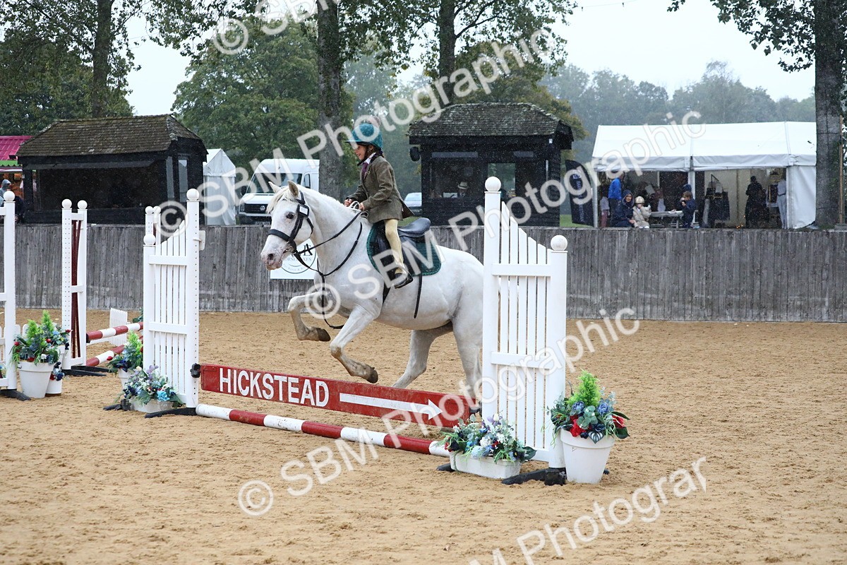 SBM_71469 - J4 - Mini Tour Junior Pony 45cm Championship