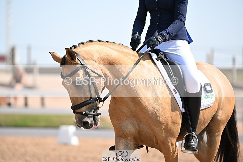 250816-120210-04406 - 060-Felicity.HendySheepcote.Champion.Star