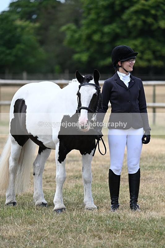 WJ7_1511 - Class 4 Prettiest Mare up to 14.2hh in hand
