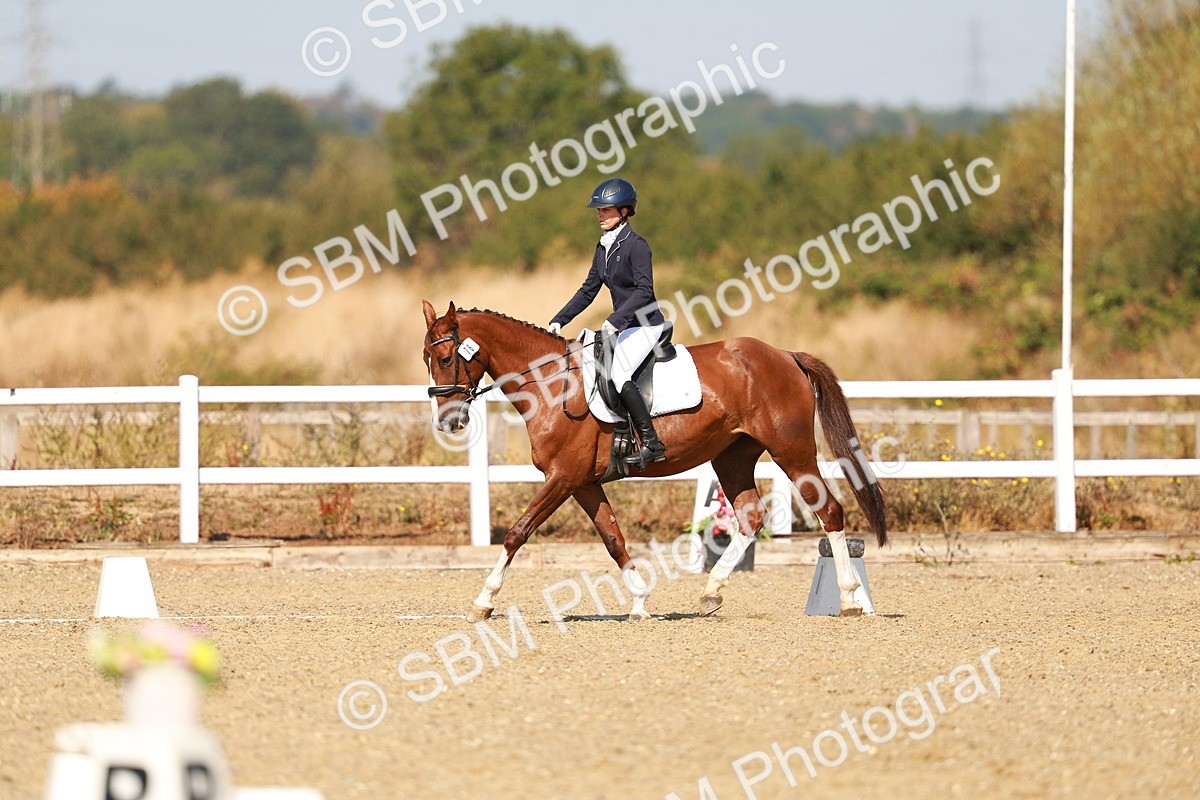 SBM_017628 - Class 9 - N5 Bronze 10.33.11.36