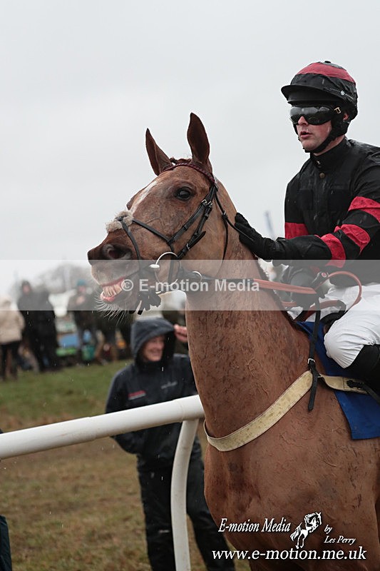 PtP 260125 176 - Cocklebarrow Point-to-Point racing with the Heythrop Hunt 26/01/25