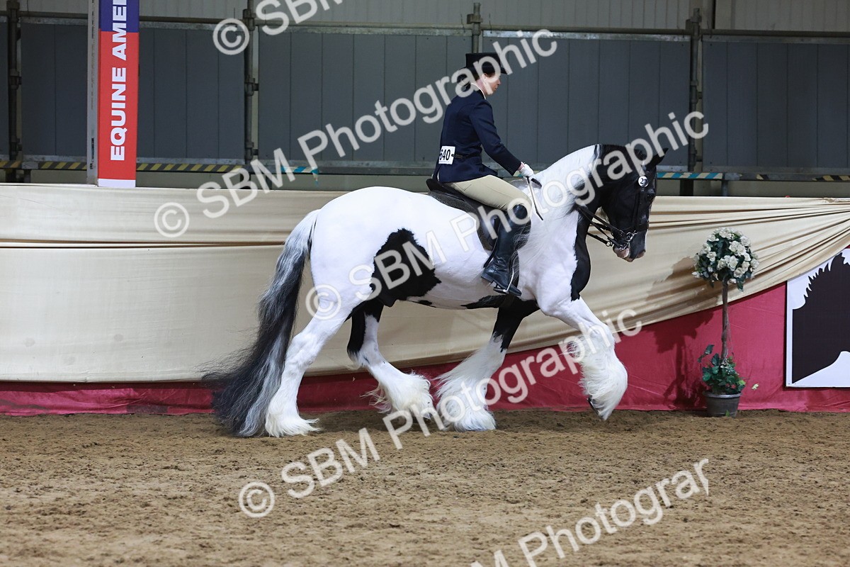 SBM_20113 - Class C - Novalty Champ