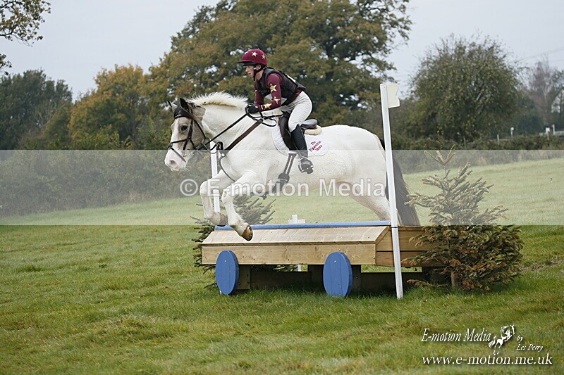 WWHT 181020 WWHT 181020 373 - WWEC Novice Restricted (0.80m) 18/10/20