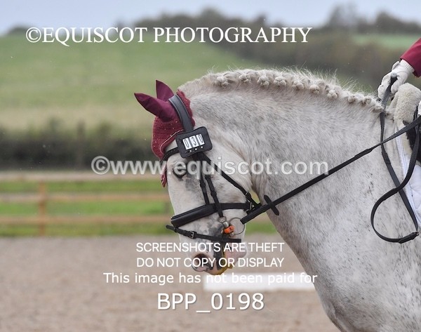 BPP_0198 - NOVICE 4 & 6