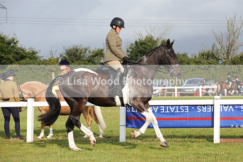 1X9A2849 - Class 25: Ridden Plaited Coloured Horse