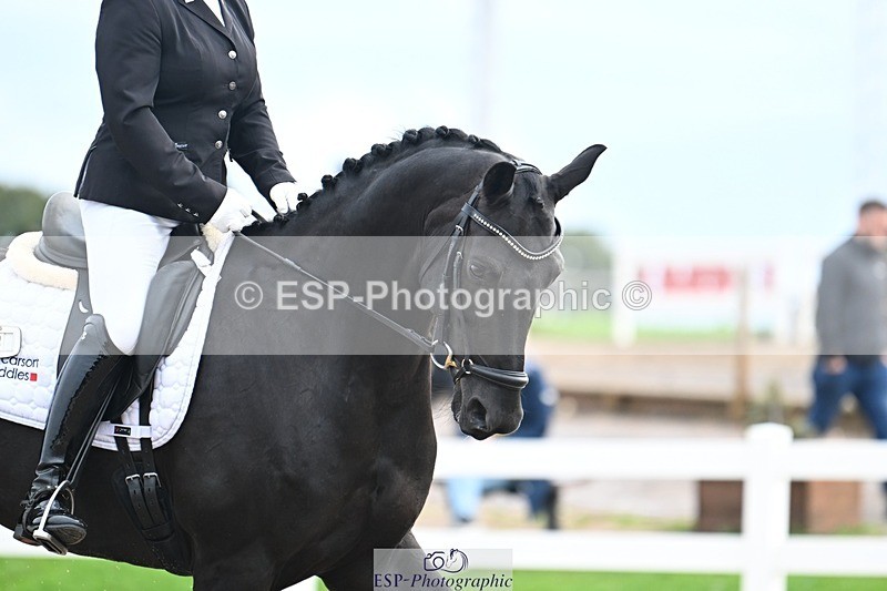 250907-111846-07183 - 003-Helen.JamesDecadent