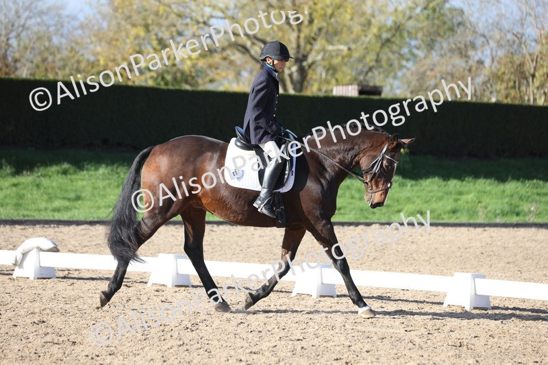 20251101-0572 - Class 4 - Novice 2