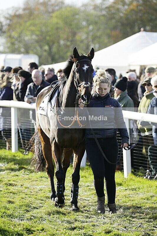 PtP 250921 0295 - Point-to-Point Badbury Rings Dorset 07/11/2021