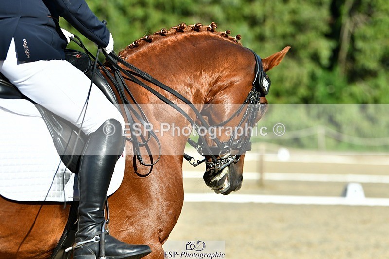 230623-174154-03090 - Cls 10 Advanced Medium 98Q