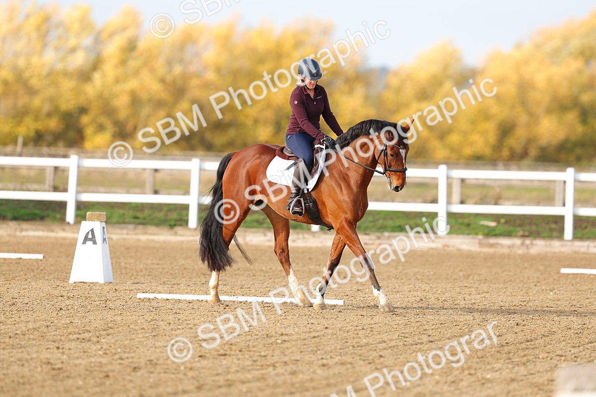 SBM_001137 - Class 13-4-9 - DR P3 CT P3 70cm CT PYO