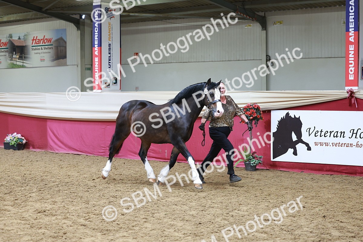 SBM_17414 - Class 951 - M&M IH Supreme Final