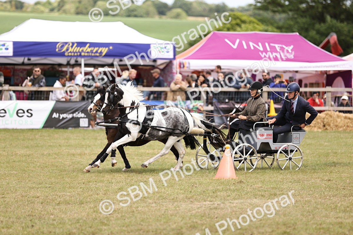 SBM_16018 - Class 91 - Scurry  exceeding 122cms