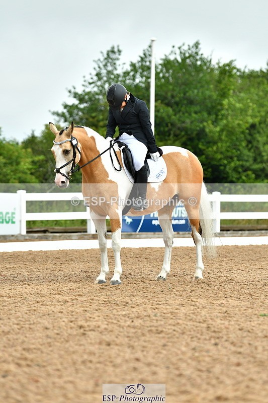 230708A-093926-02182 - Prelim 13