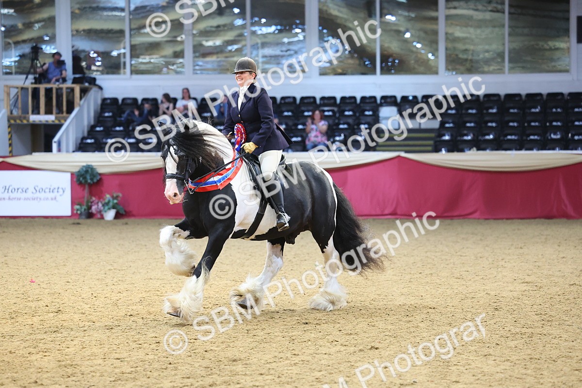 SBM_24971 - Supreme Final - Ridden Champion