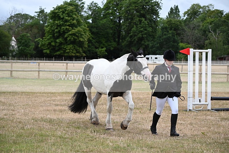 WJ6_4366 - Class 10 Coloured In-hand
