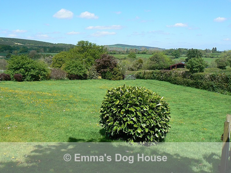  - House and Grounds