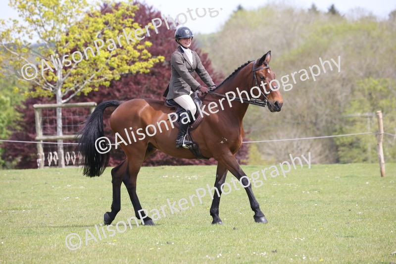 20260426-4289 - Class 34 - Best Riding Horse Over 14.2hh