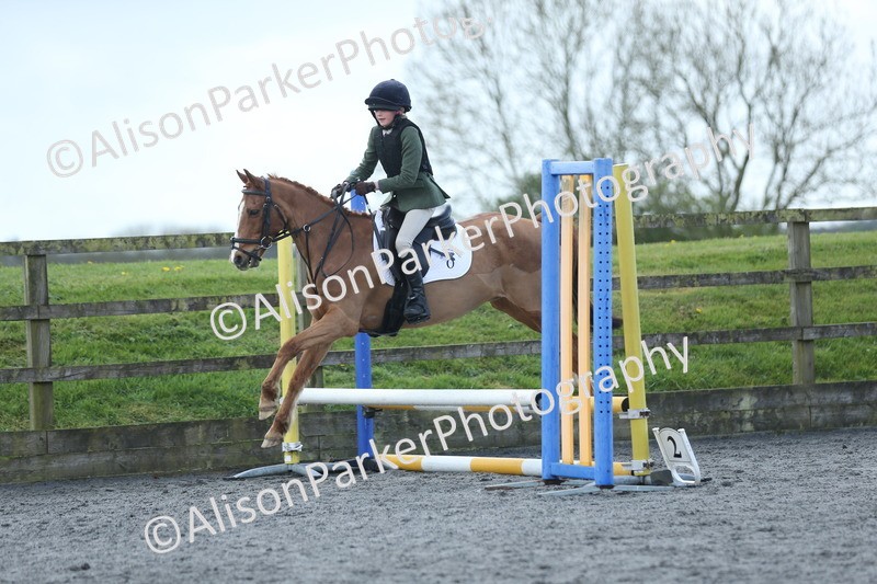 20260412-1768 - Show Jumping