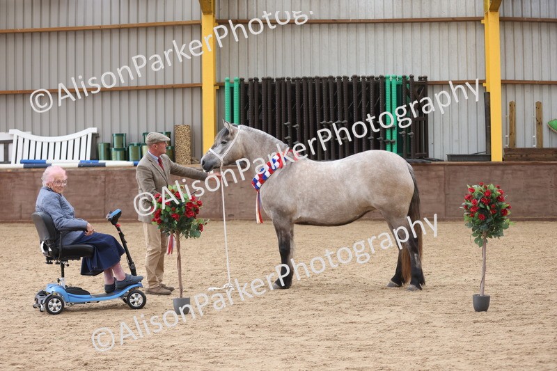 20251109-1241 - Supreme Championship