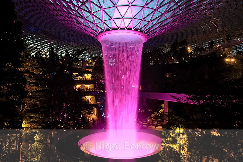 Rain Vortex illuminated pink, Jewel Changi Airport, Singapore - Singapore