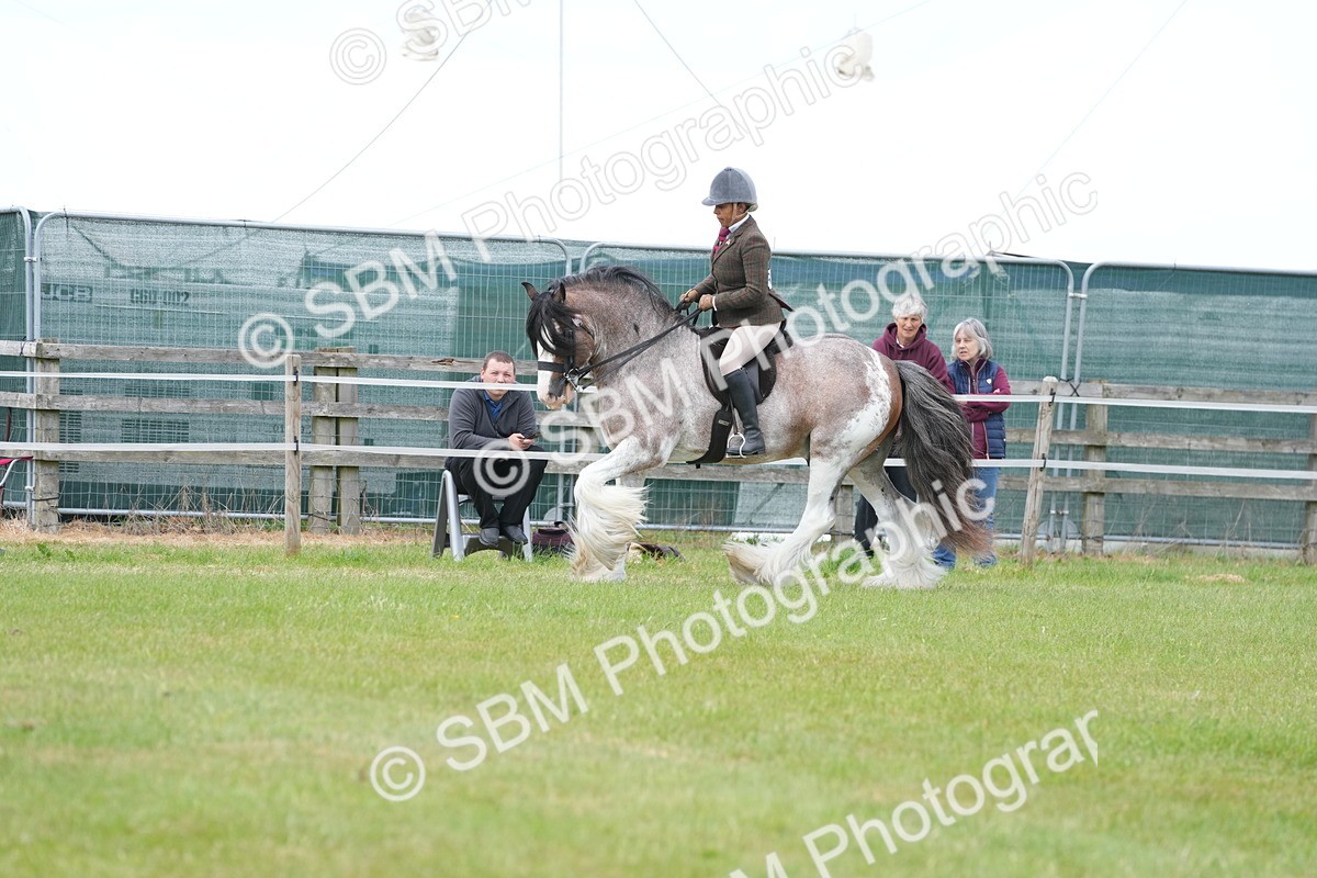 SBM_17207 - Class 107-108 - LIHS BSPS Performance Coloured Horse Pony