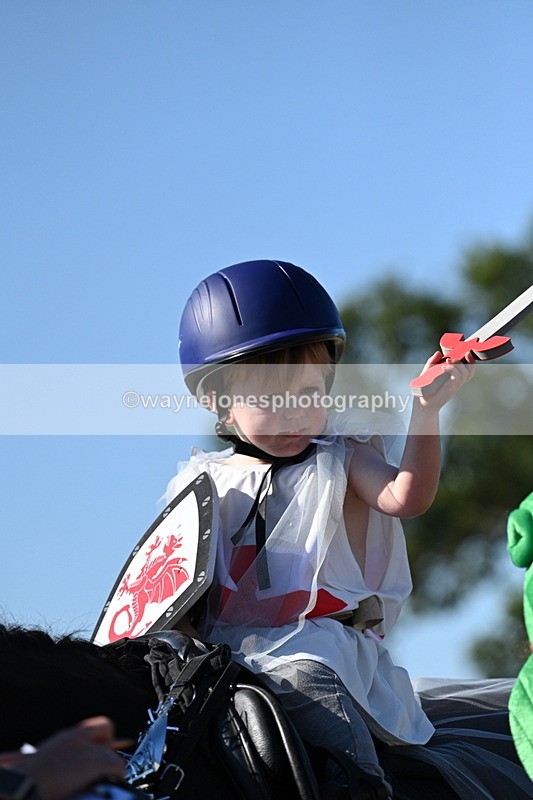 WJ7_2694 - Class 45 Fancy Dress (My Fav)