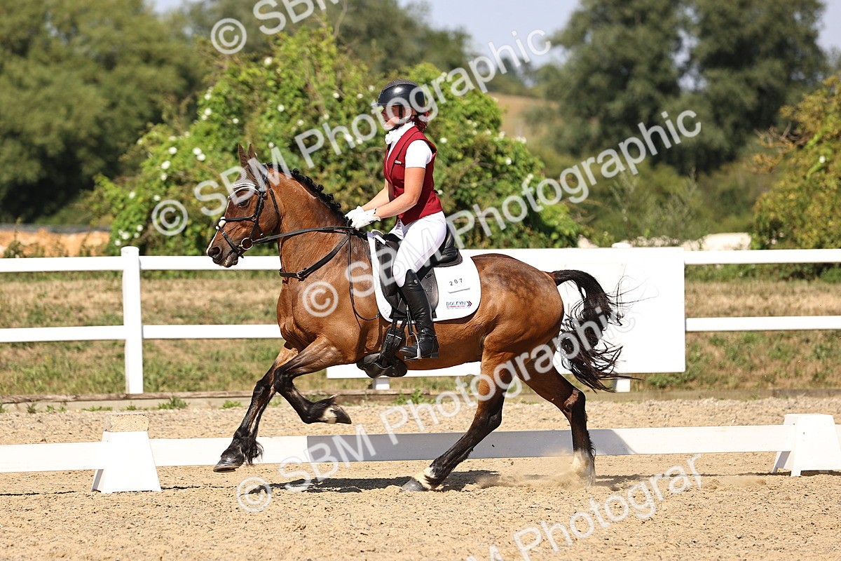 SBM_005594 - Elementary 4 Warm Up