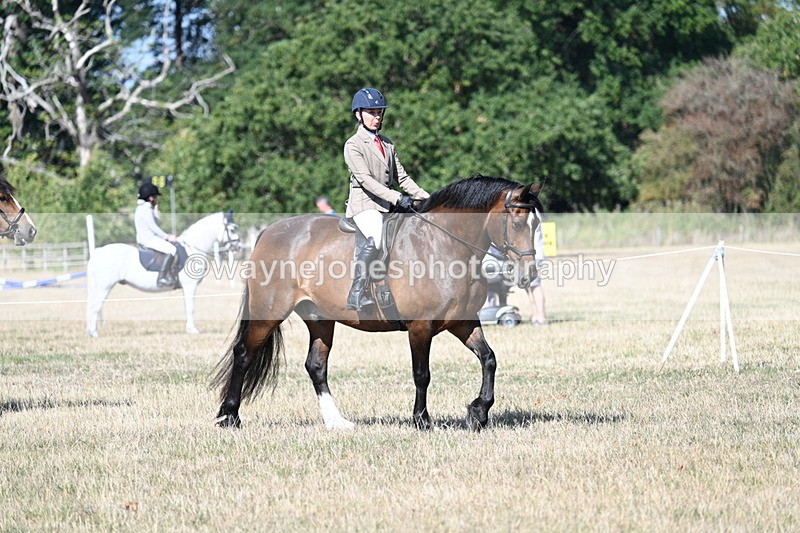 WJ7_3359 - Class 9 Mountain & Moorland Ridden