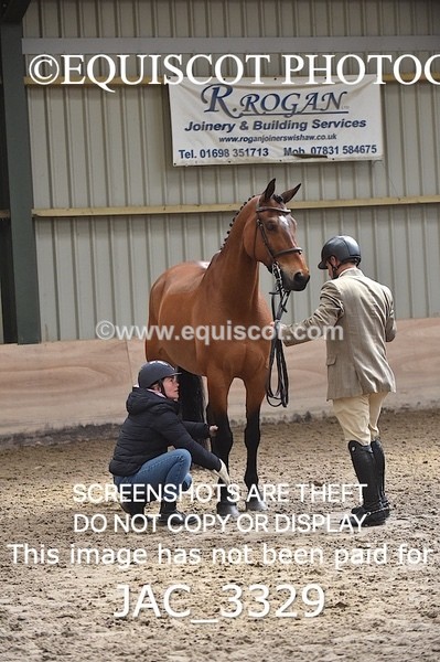 JAC_3329 - CLASS 8 BHS Scotland Riding Club Working Hunter Qualifier
