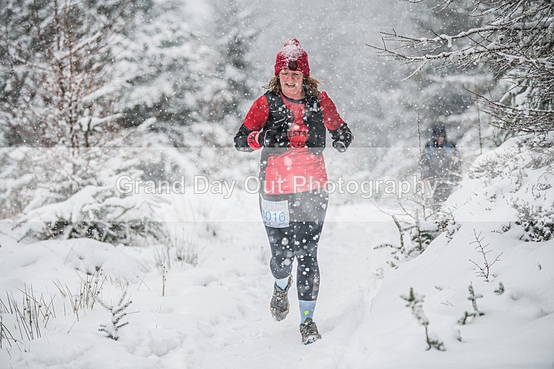 Glentress-2371 - High Terrain Events Glentress 42, 21 & 10K Trail Races Sunday 15th February 2026